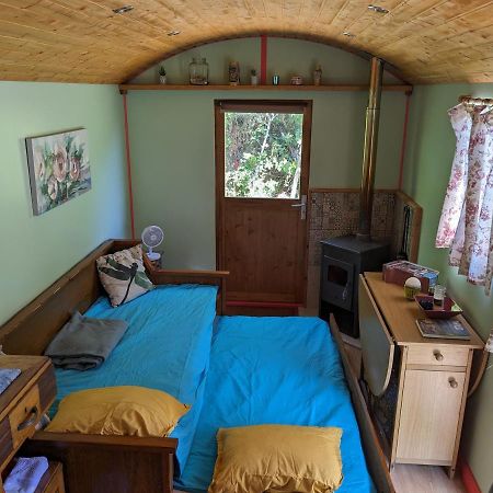 Rosa The Cosy Cabin - Gypsy Wagon - Shepherds Hut, River Views Off-Grid Eco Living Pedrogao Grande Kültér fotó