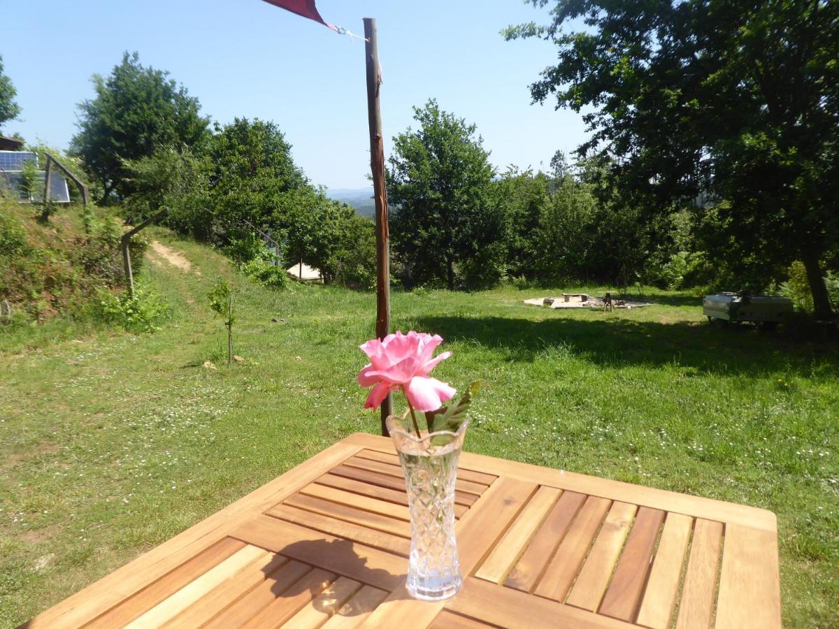 Rosa The Cosy Cabin - Gypsy Wagon - Shepherds Hut, River Views Off-Grid Eco Living Pedrogao Grande Kültér fotó