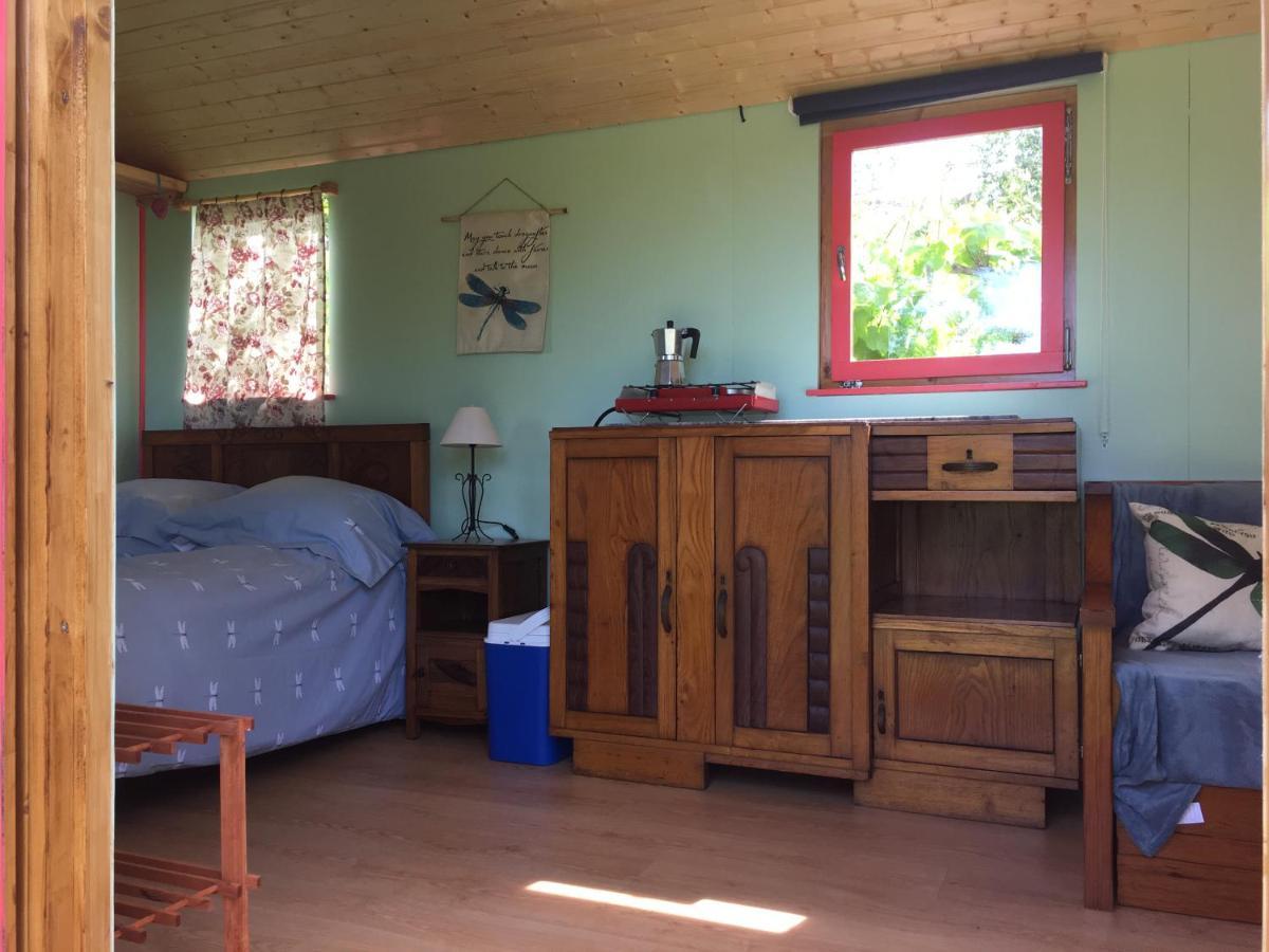 Rosa The Cosy Cabin - Gypsy Wagon - Shepherds Hut, River Views Off-Grid Eco Living Pedrogao Grande Kültér fotó