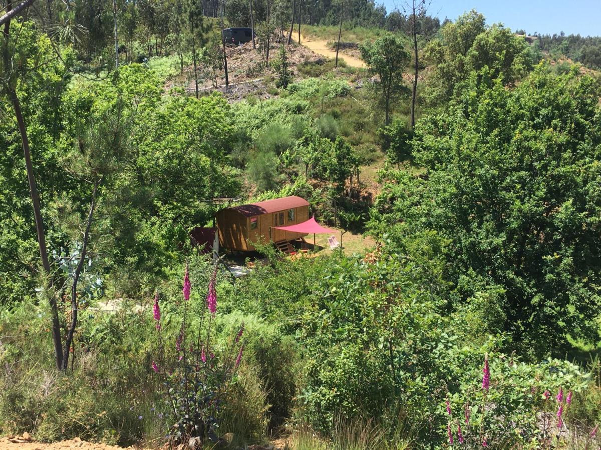 Rosa The Cosy Cabin - Gypsy Wagon - Shepherds Hut, River Views Off-Grid Eco Living Pedrogao Grande Kültér fotó